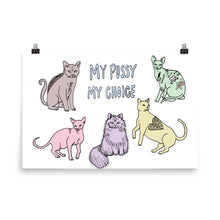 " My Pussy My Choice " Print / Poster